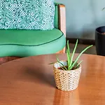 Szálloda Hotel Kriopigi 4*