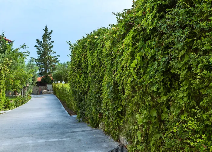 Hotel Hotel Kriopigi 4*