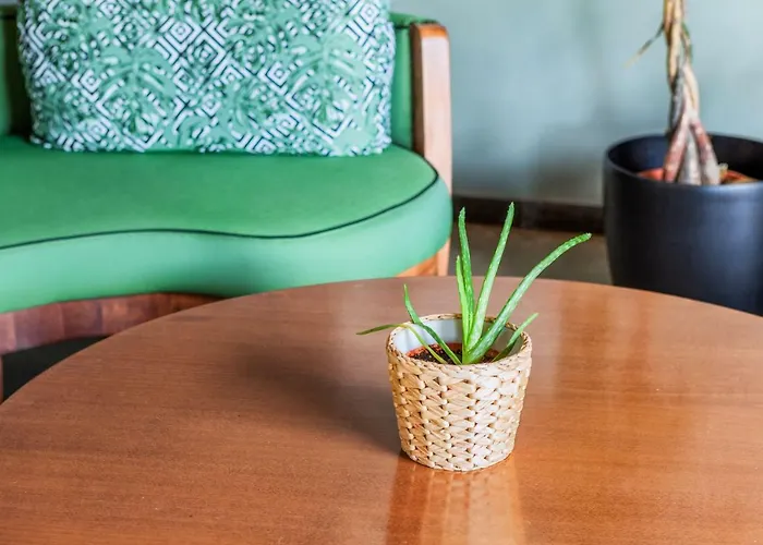 Hotel Hotel Kriopigi 4*