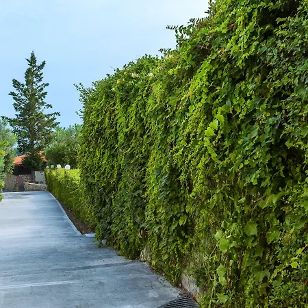 מלון Hotel Kriopigi 4*