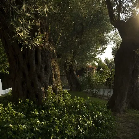 מלון Hotel Kriopigi קריופיגי