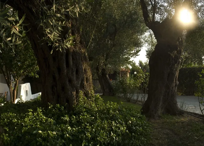 Hotel Hotel Kriopigi Kriopigi